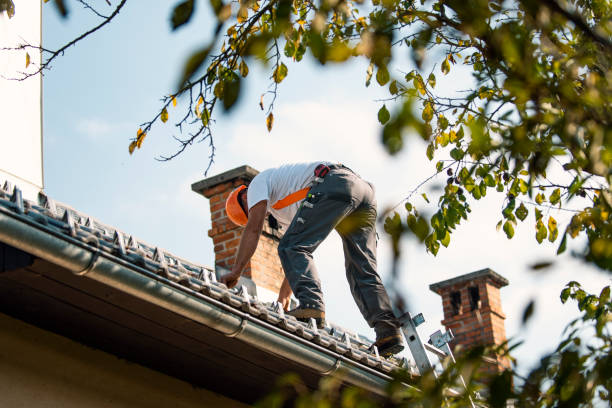 Best Flat Roof Repair Services  in Union Springs, NY
